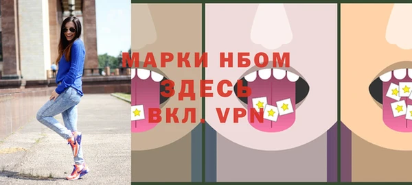 apvp Вяземский