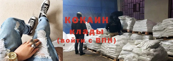 apvp Вяземский